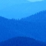 Large_thumb