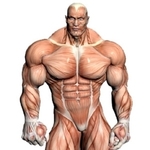 Large_thumb
